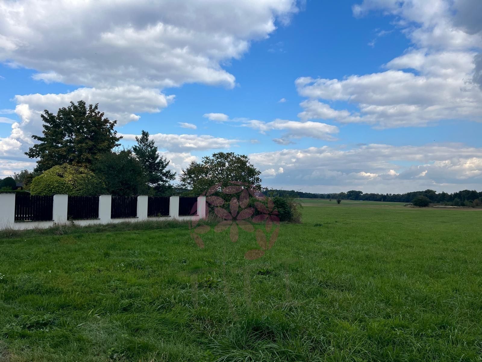 Prodej pozemku 6974 m² - foto 2