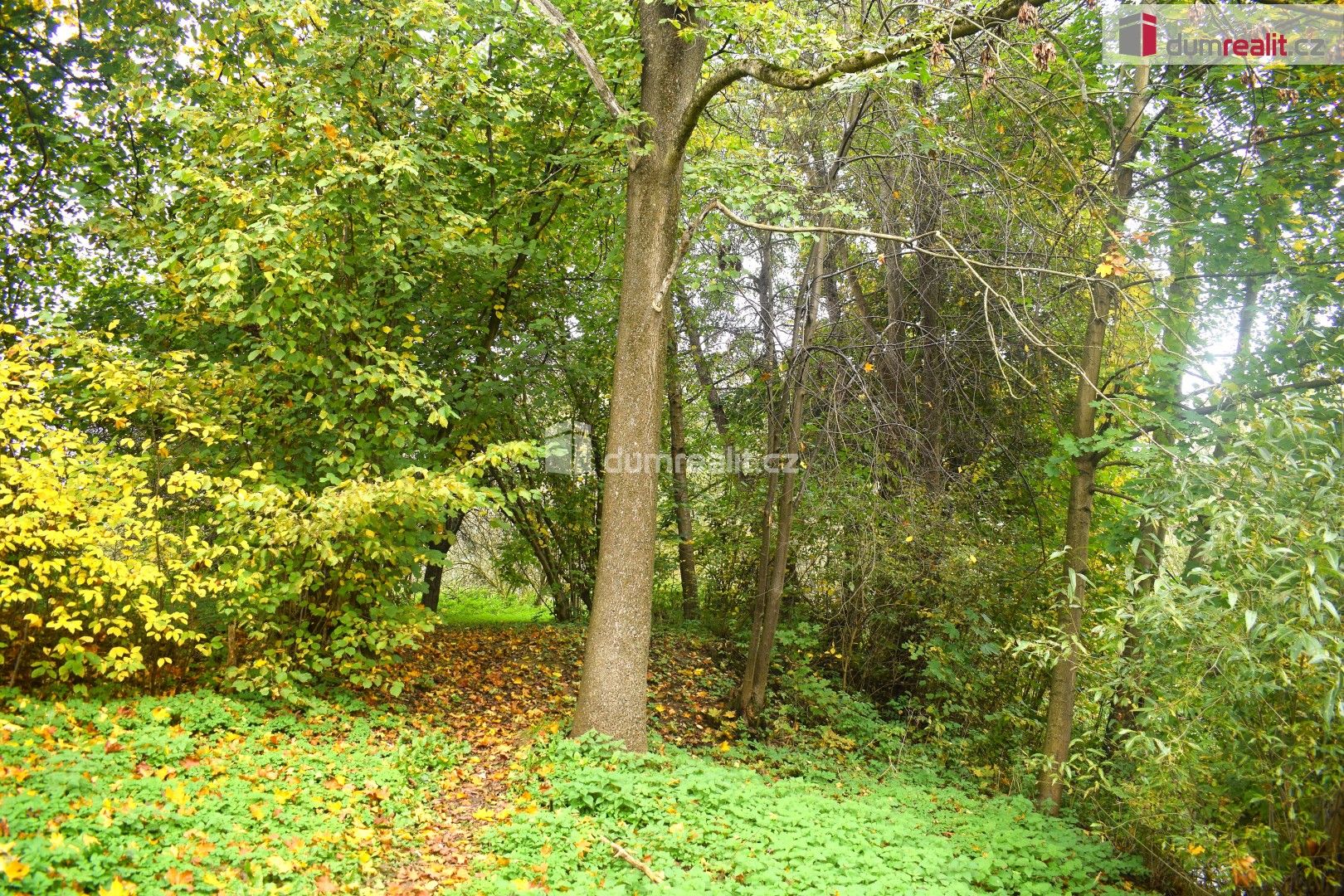 Prodej pozemku 1535 m² - foto 5