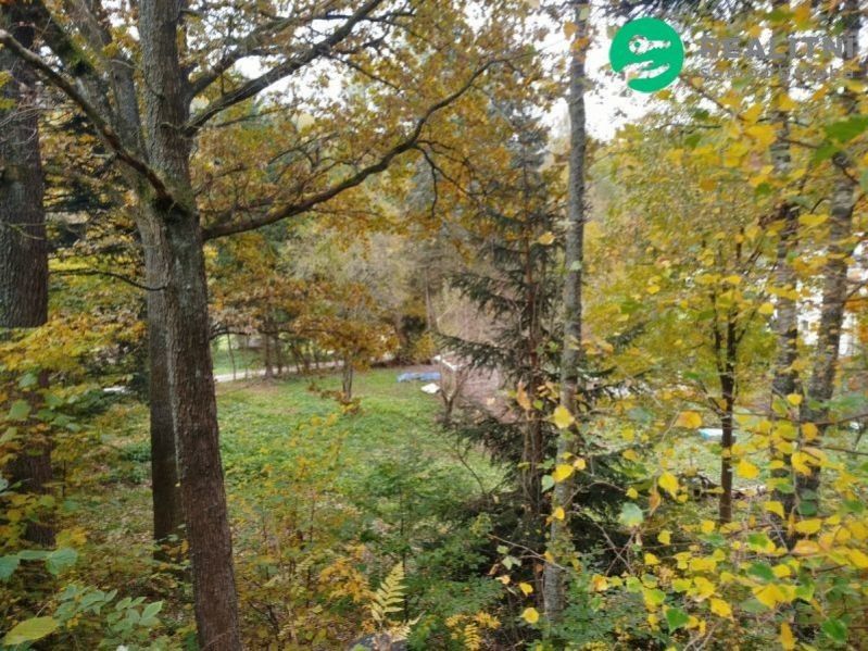 Prodej pozemku 2020 m² - foto 2