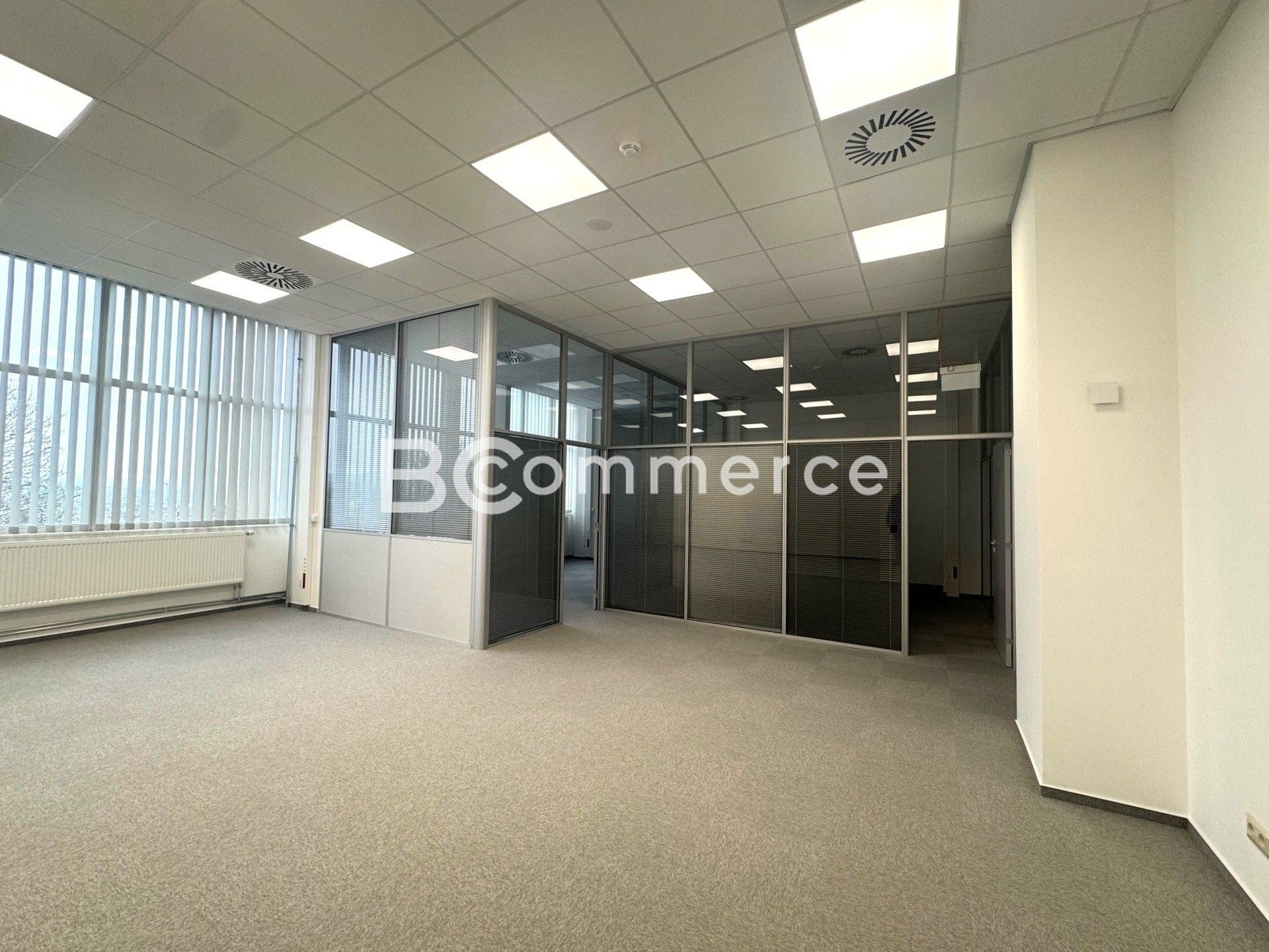 Pronájem komerčního prostoru 100 m² - foto 8