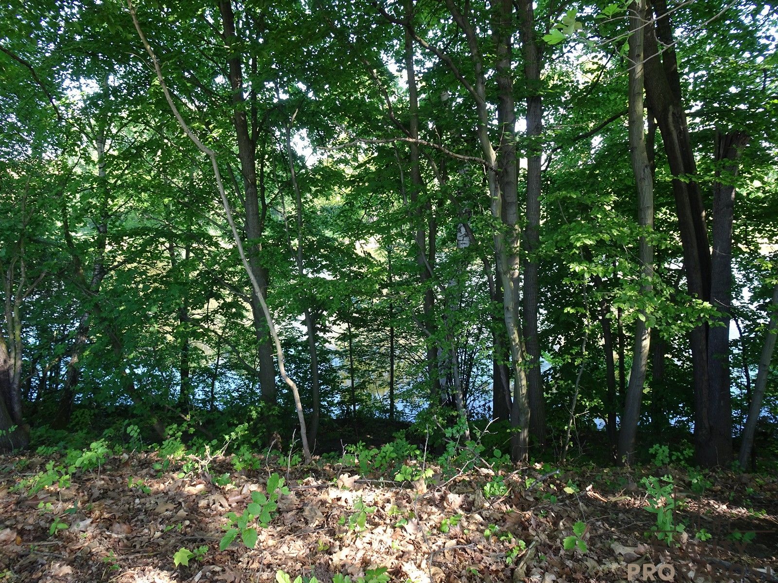 Pronájem nemovitosti 1000 m² - foto 7