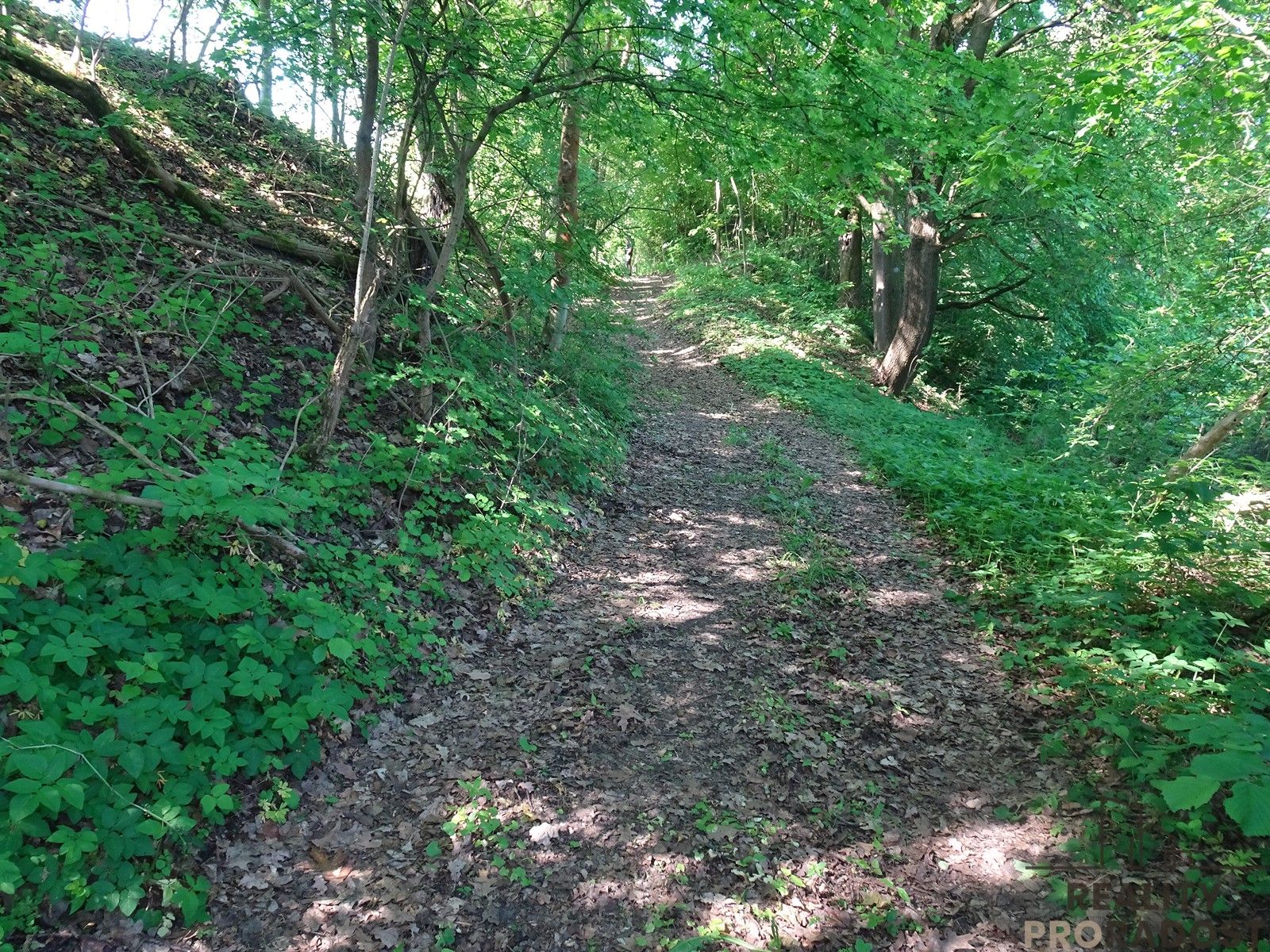 Pronájem nemovitosti 1000 m² - foto 10
