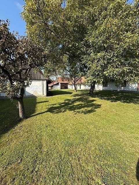 Prodej domu 604 m² - foto 5
