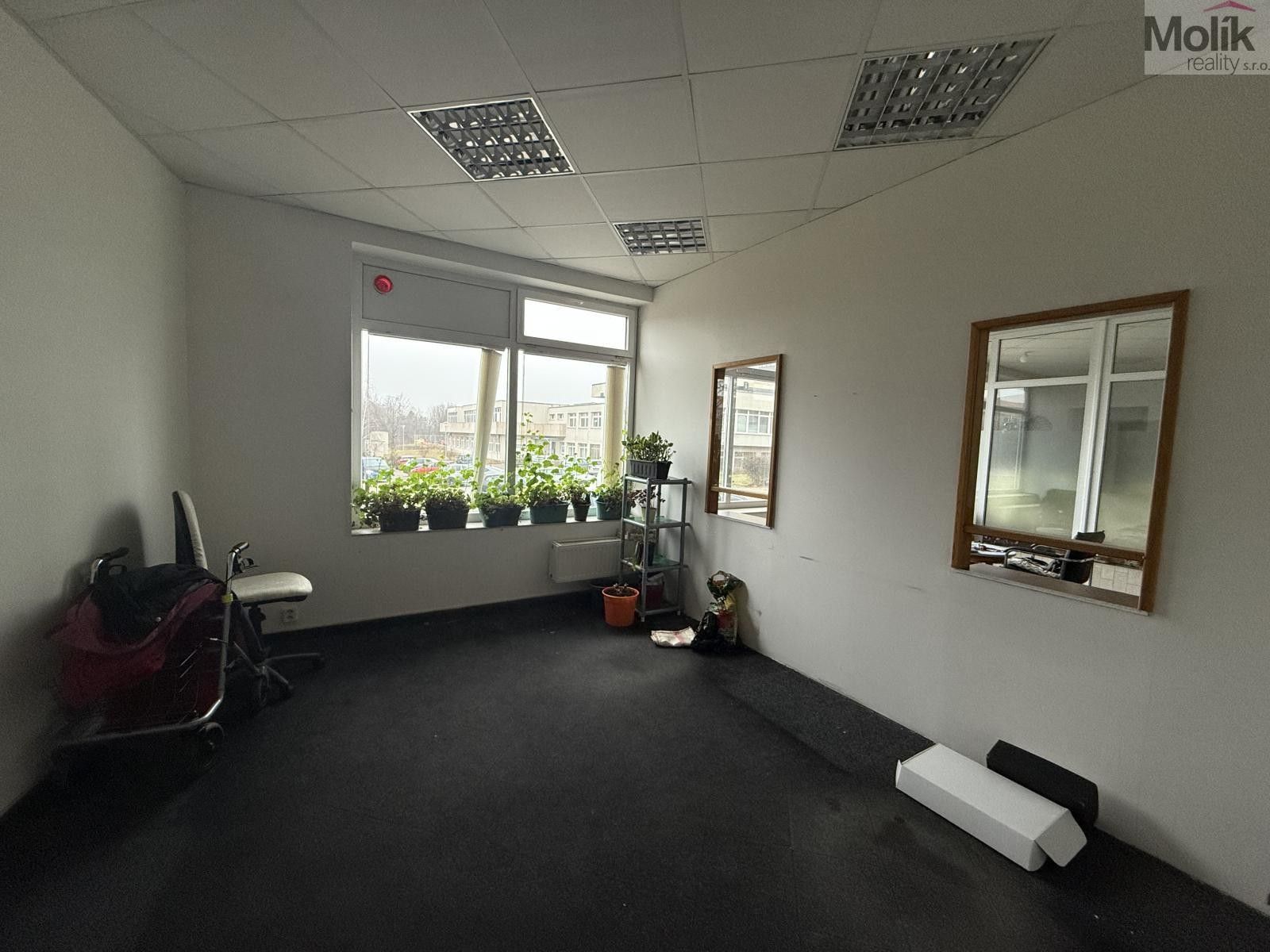 Pronájem komerčního prostoru 41 m² - foto 4