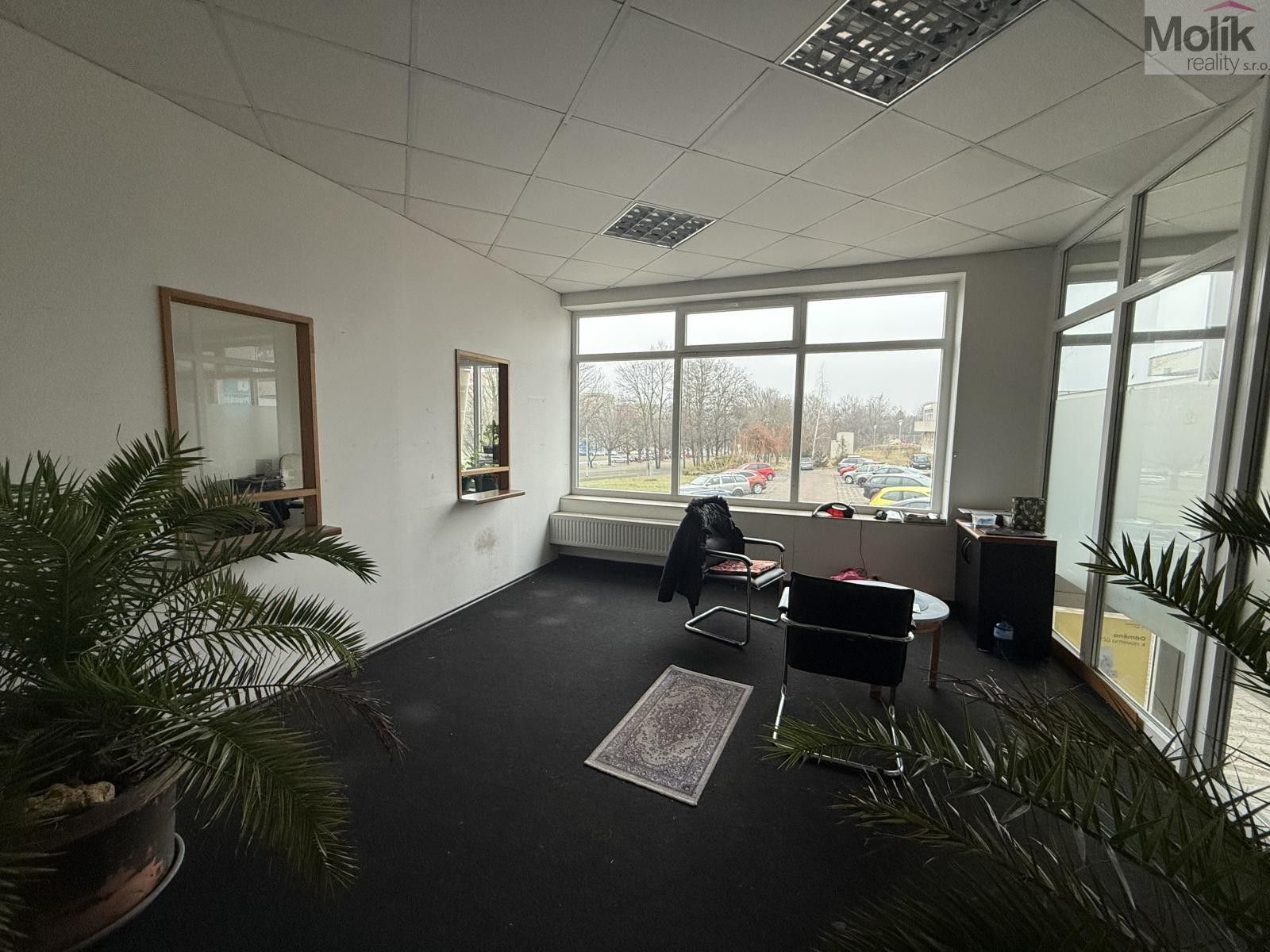 Pronájem komerčního prostoru 41 m² - foto 1