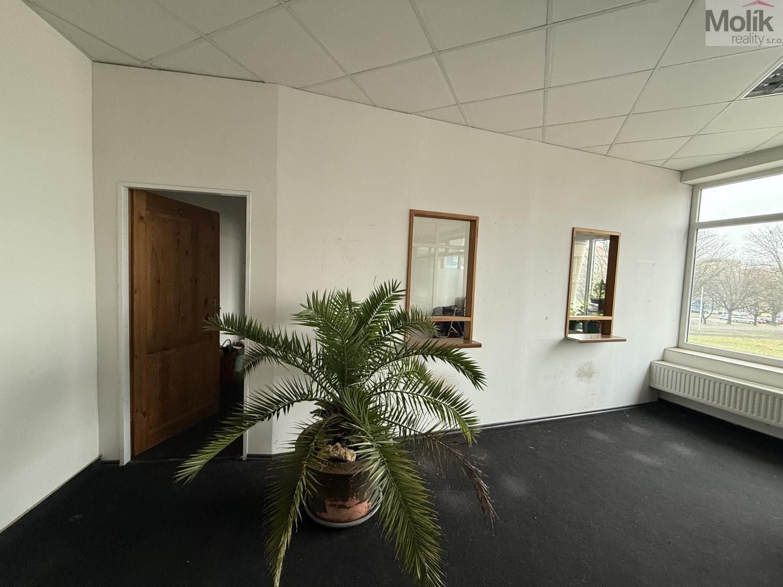Pronájem komerčního prostoru 41 m² - foto 3