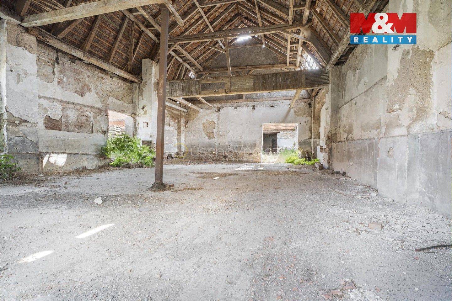 Prodej nemovitosti 5000 m² - foto 19