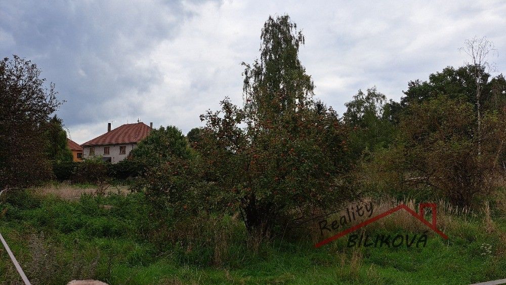 Prodej pozemku 1001 m² - foto 4