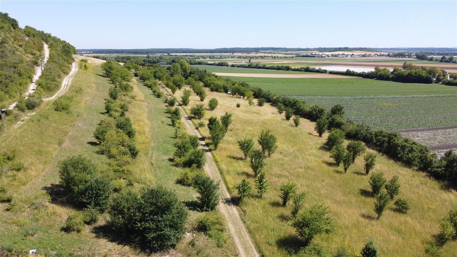 Prodej pozemku 1659 m² - foto 6