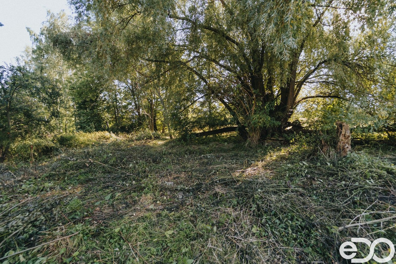 Prodej pozemku 3564 m² - foto 13
