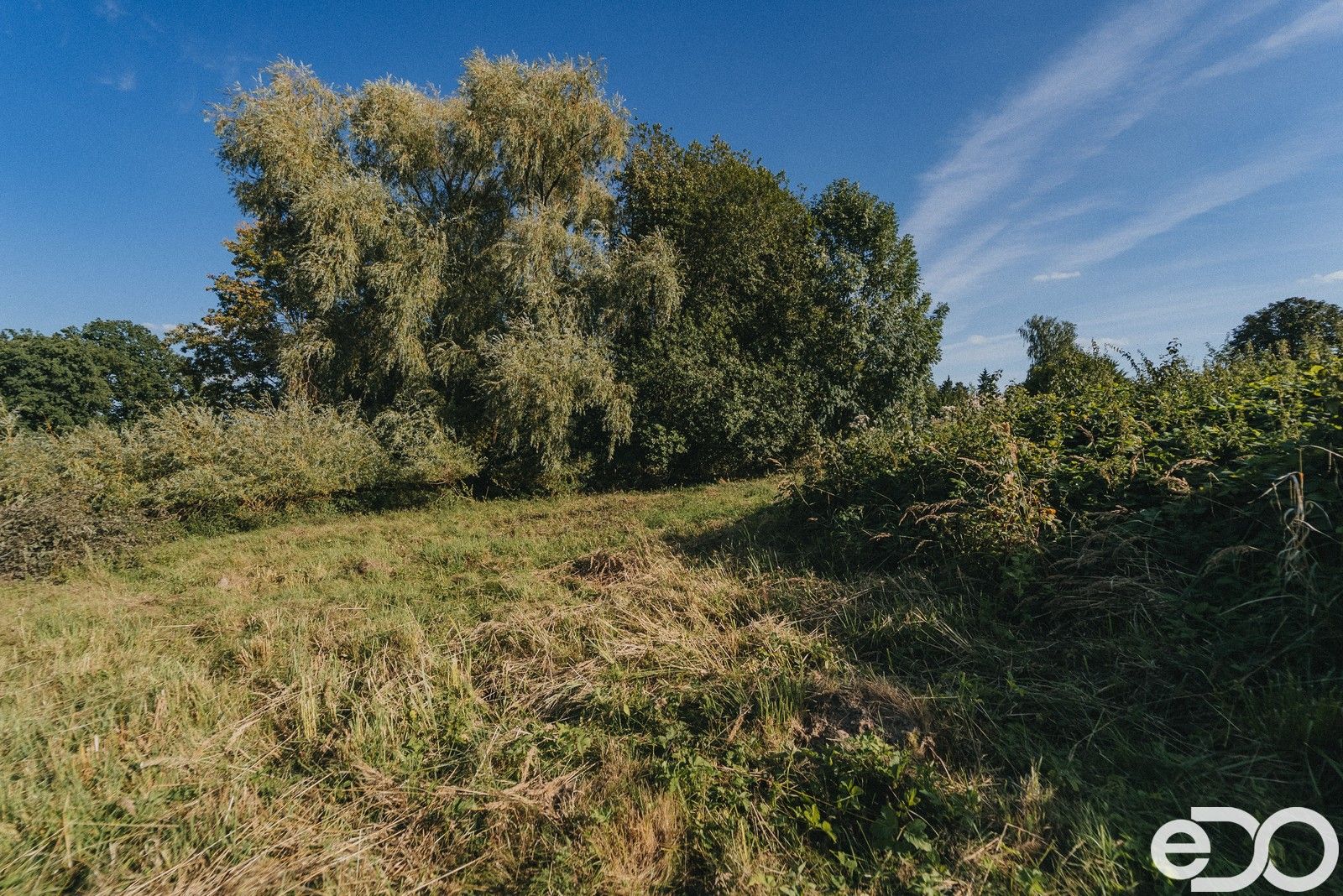 Prodej pozemku 3564 m² - foto 14