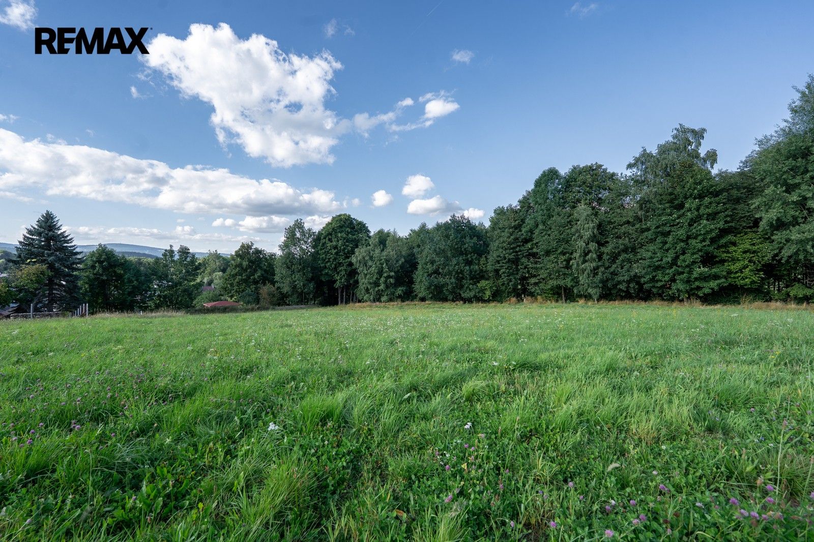 Prodej pozemku 1938 m² - foto 1