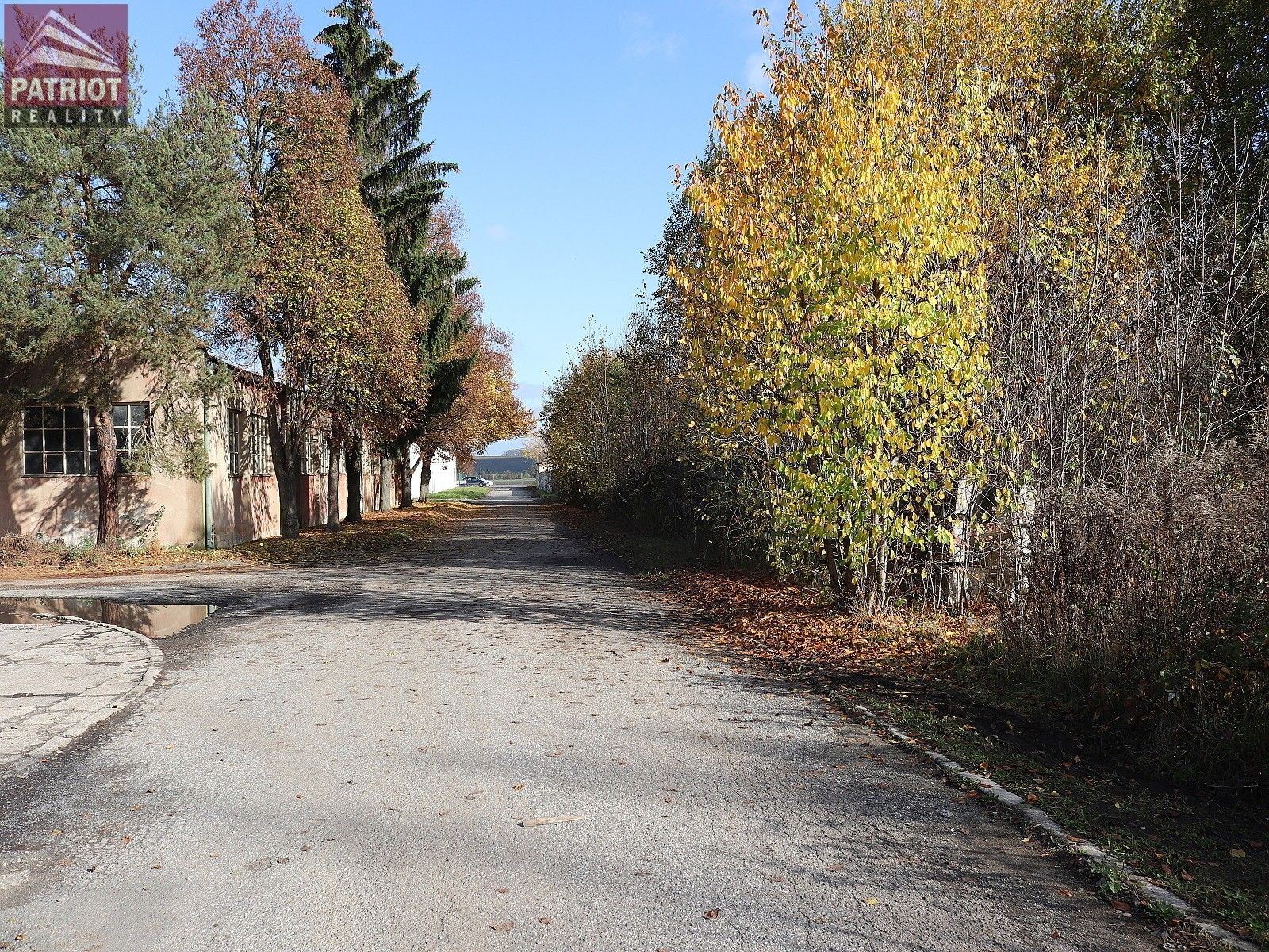 Pronájem pozemku 900 m² - foto 4