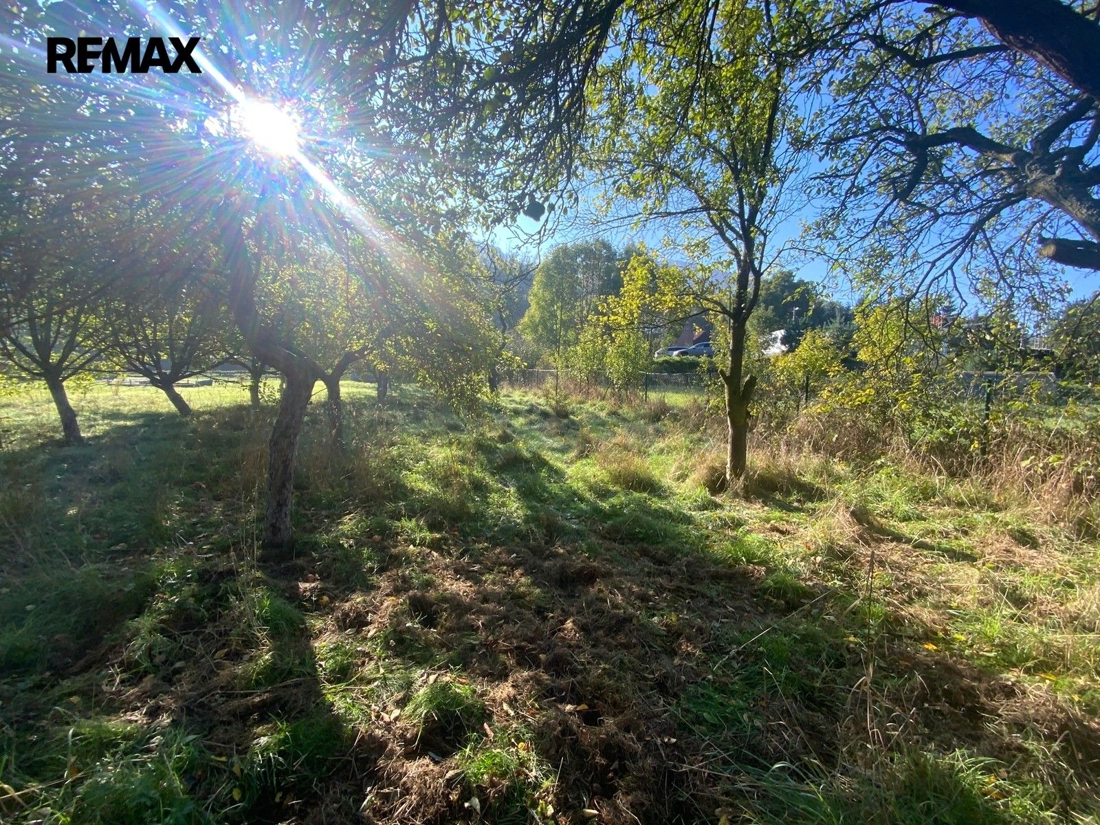 Prodej pozemku 702 m² - foto 4