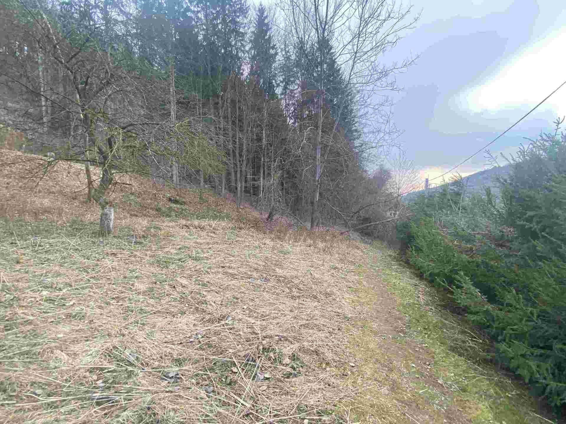 Prodej nemovitosti 903 m² - foto 1
