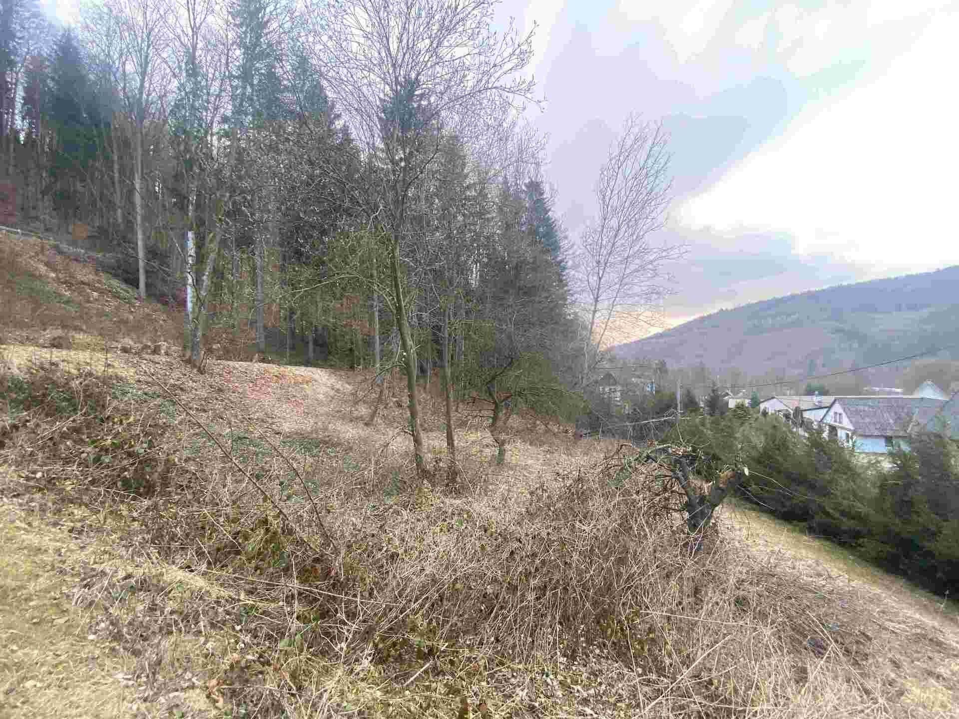Prodej nemovitosti 903 m² - foto 2