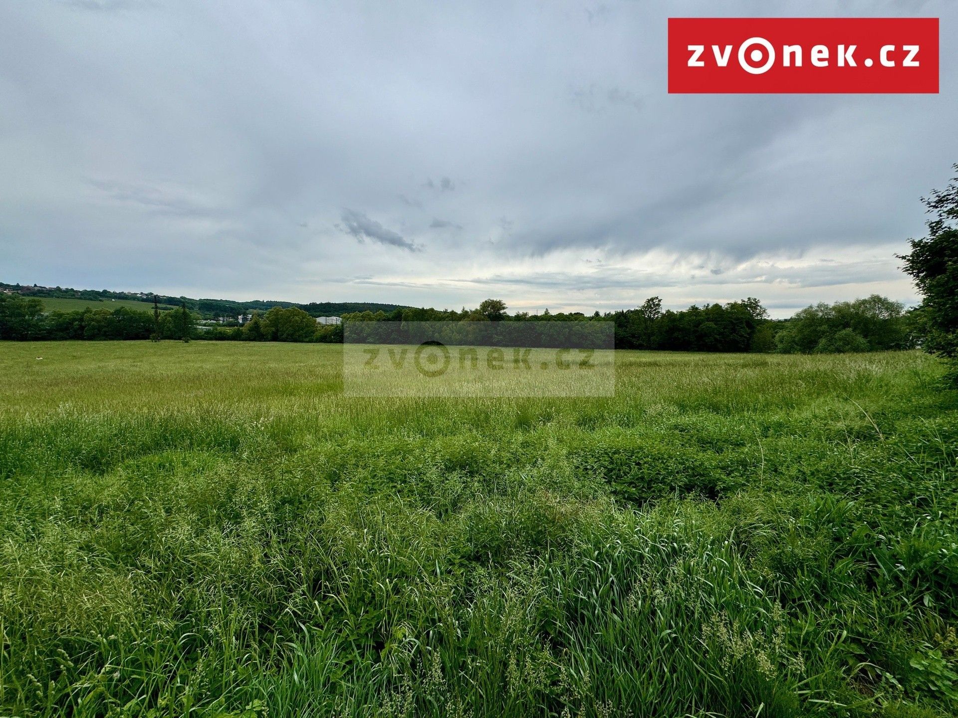 Prodej pozemku 9230 m² - foto 3