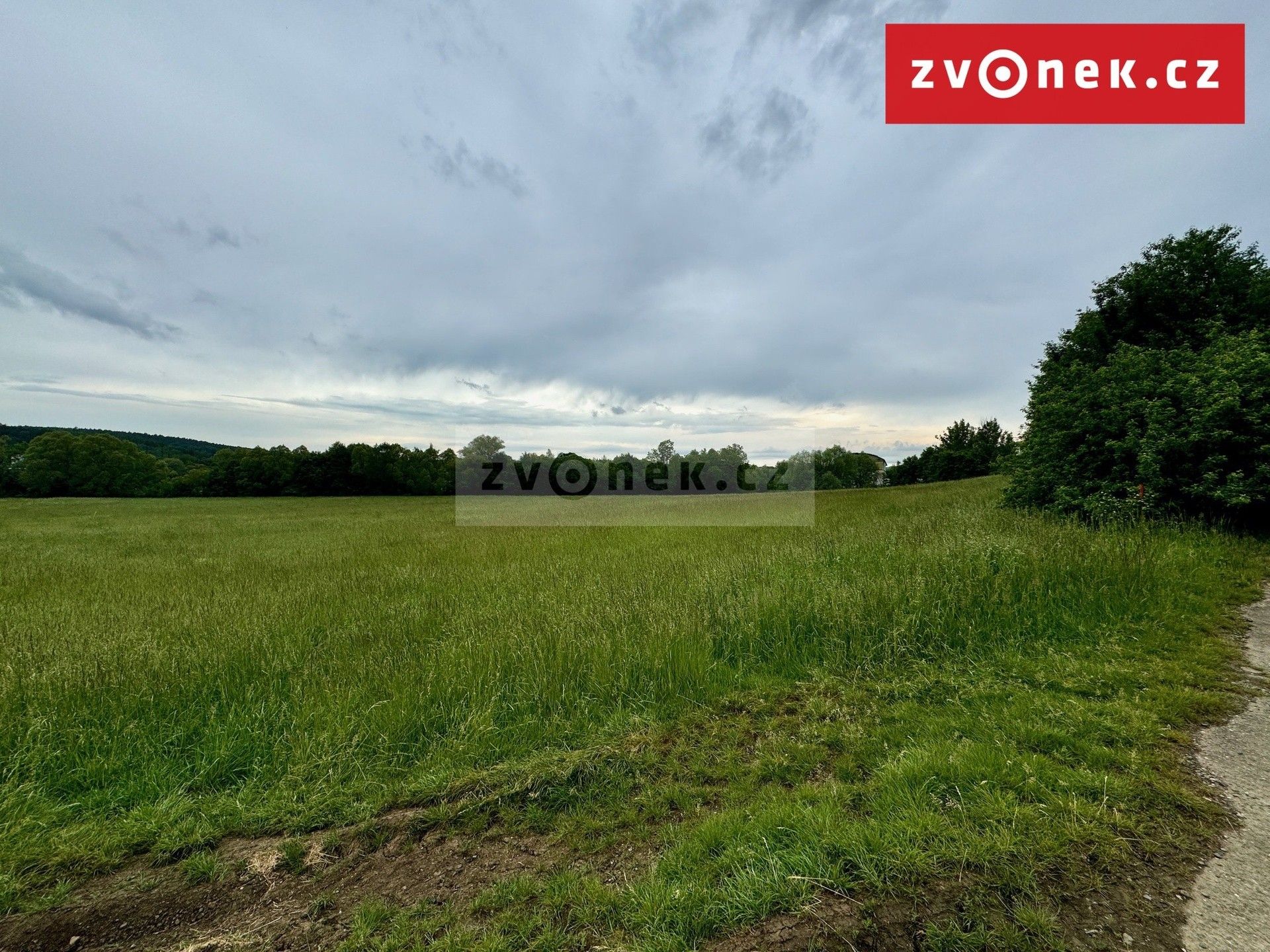 Prodej pozemku 9230 m² - foto 2