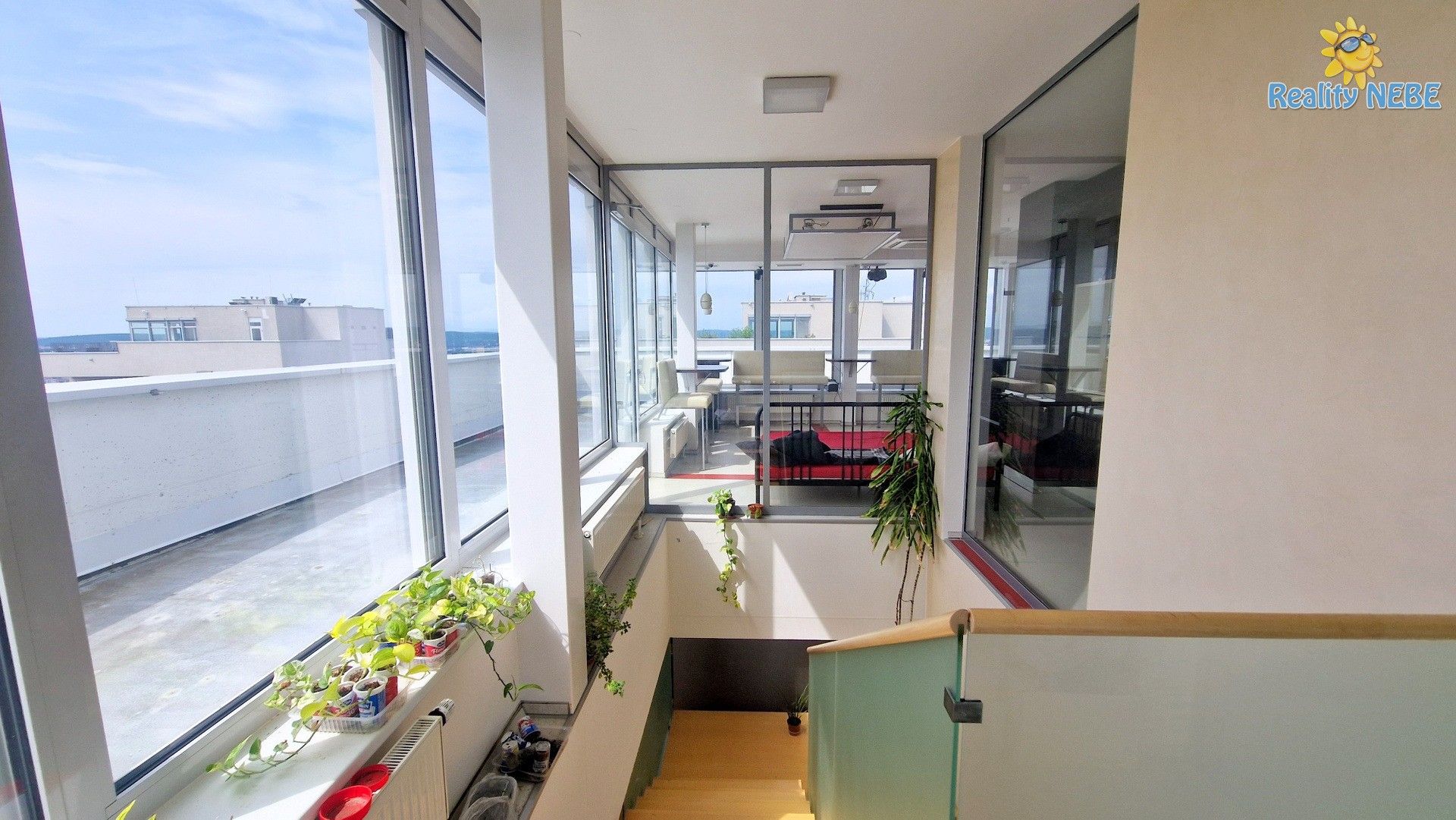 Pronájem komerčního prostoru 214 m² - foto 7