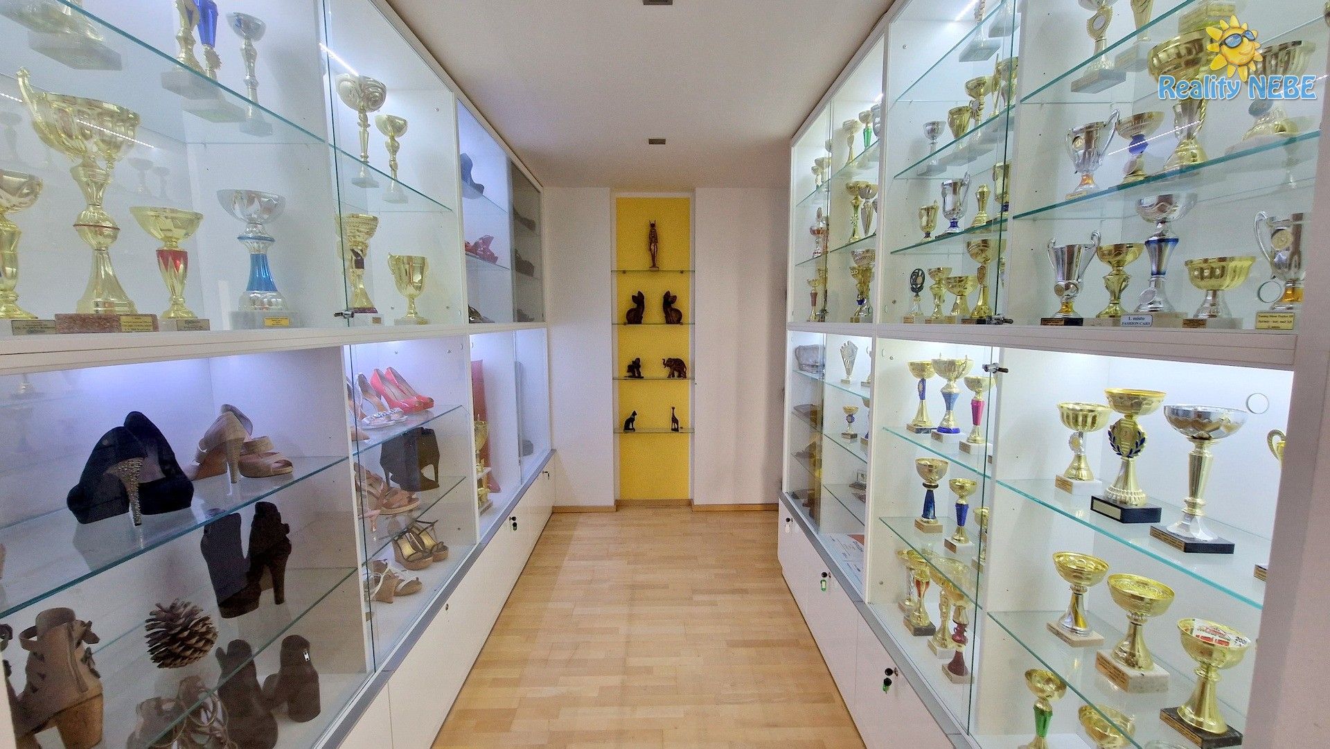 Prodej bytu 4+kk 446 m² - foto 11