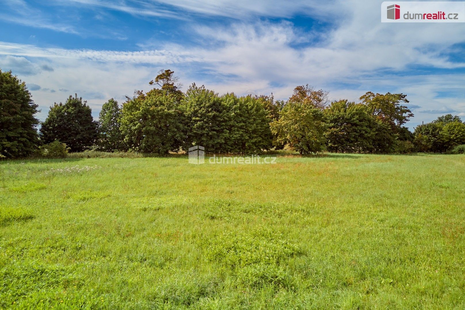 Prodej domu 3600 m² - foto 15