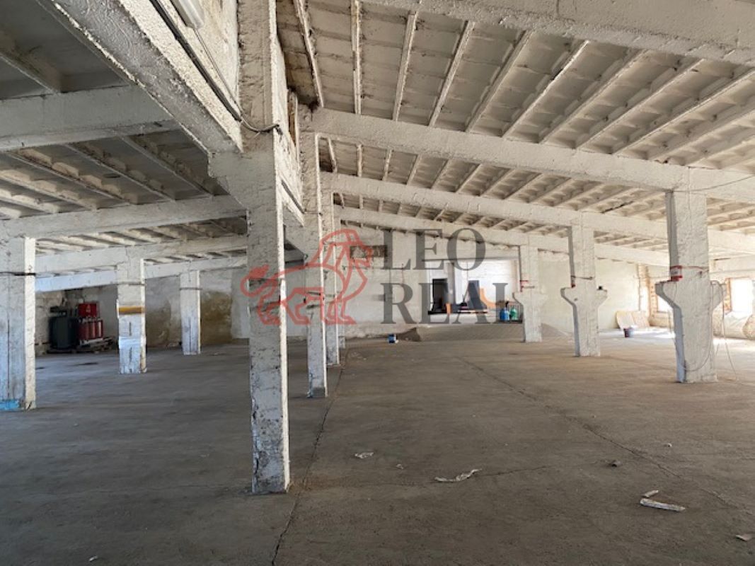Pronájem komerčního prostoru 1850 m² - foto 6