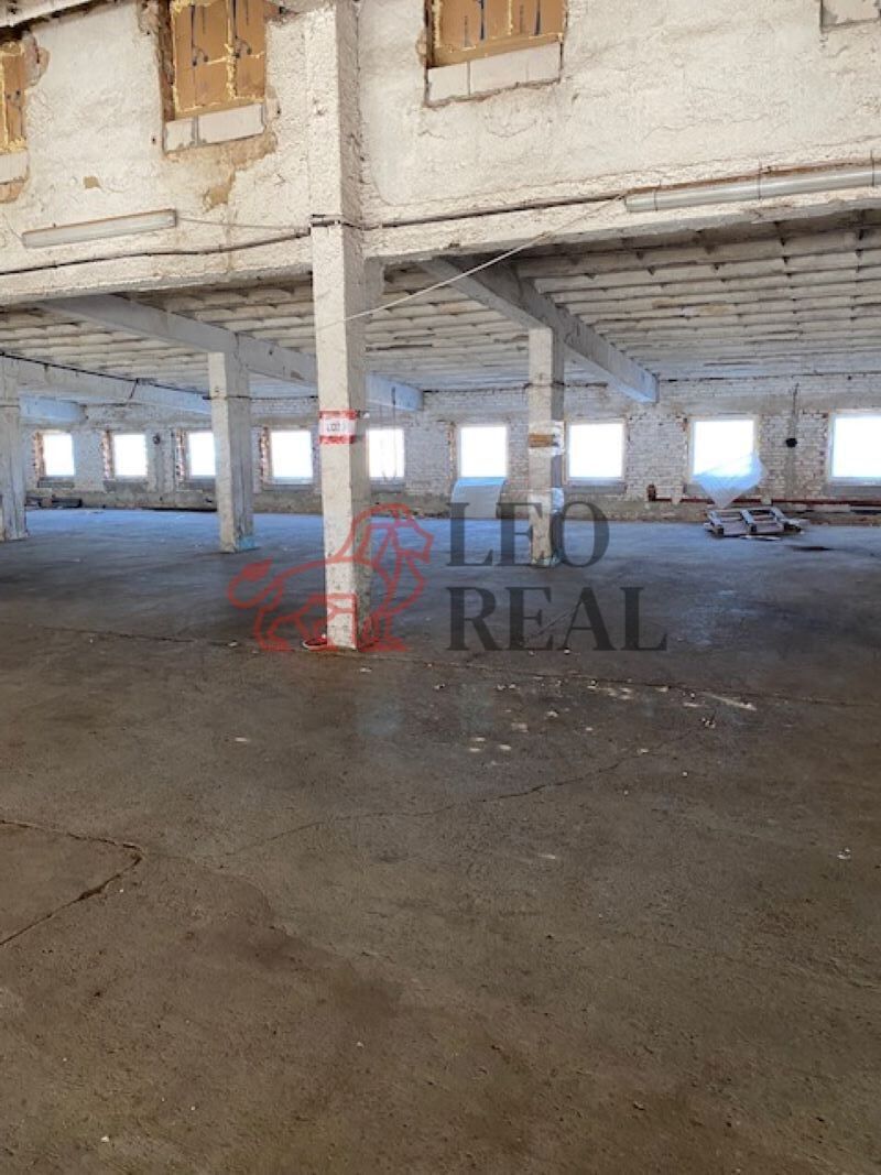 Pronájem komerčního prostoru 1850 m² - foto 4