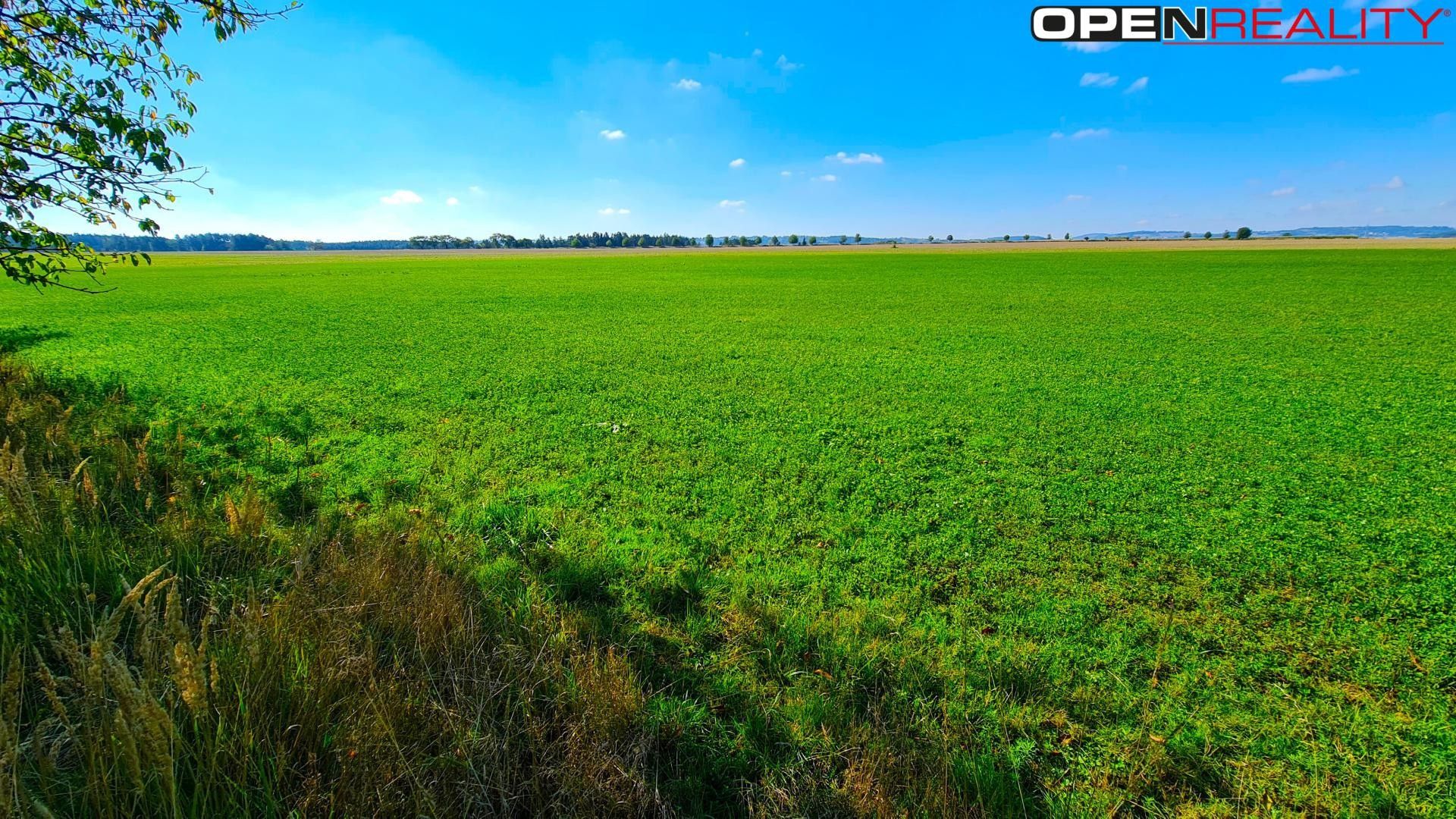 Prodej pozemku 8634 m² - foto 19
