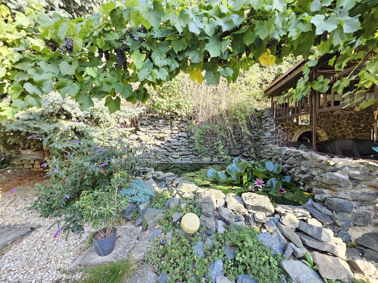 Prodej nemovitosti 350 m² - foto 6