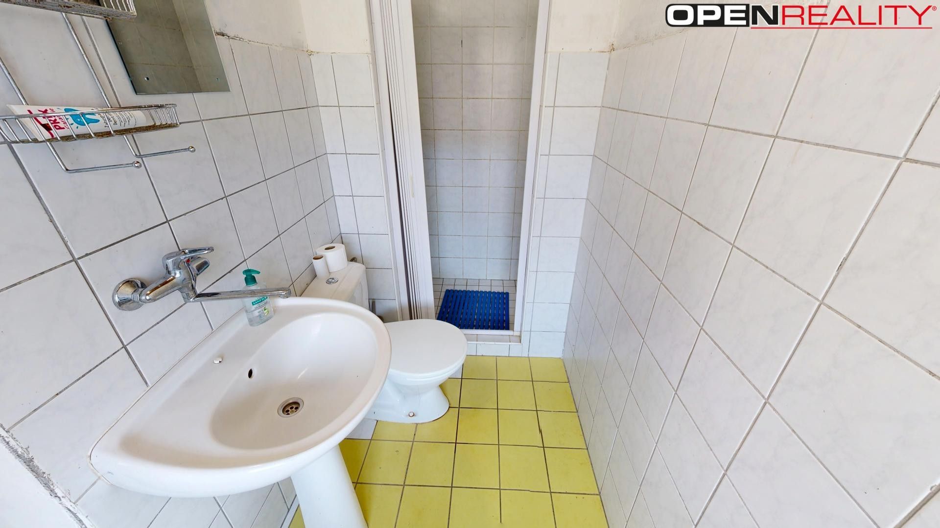 Pronájem nemovitosti 380 m² - foto 18