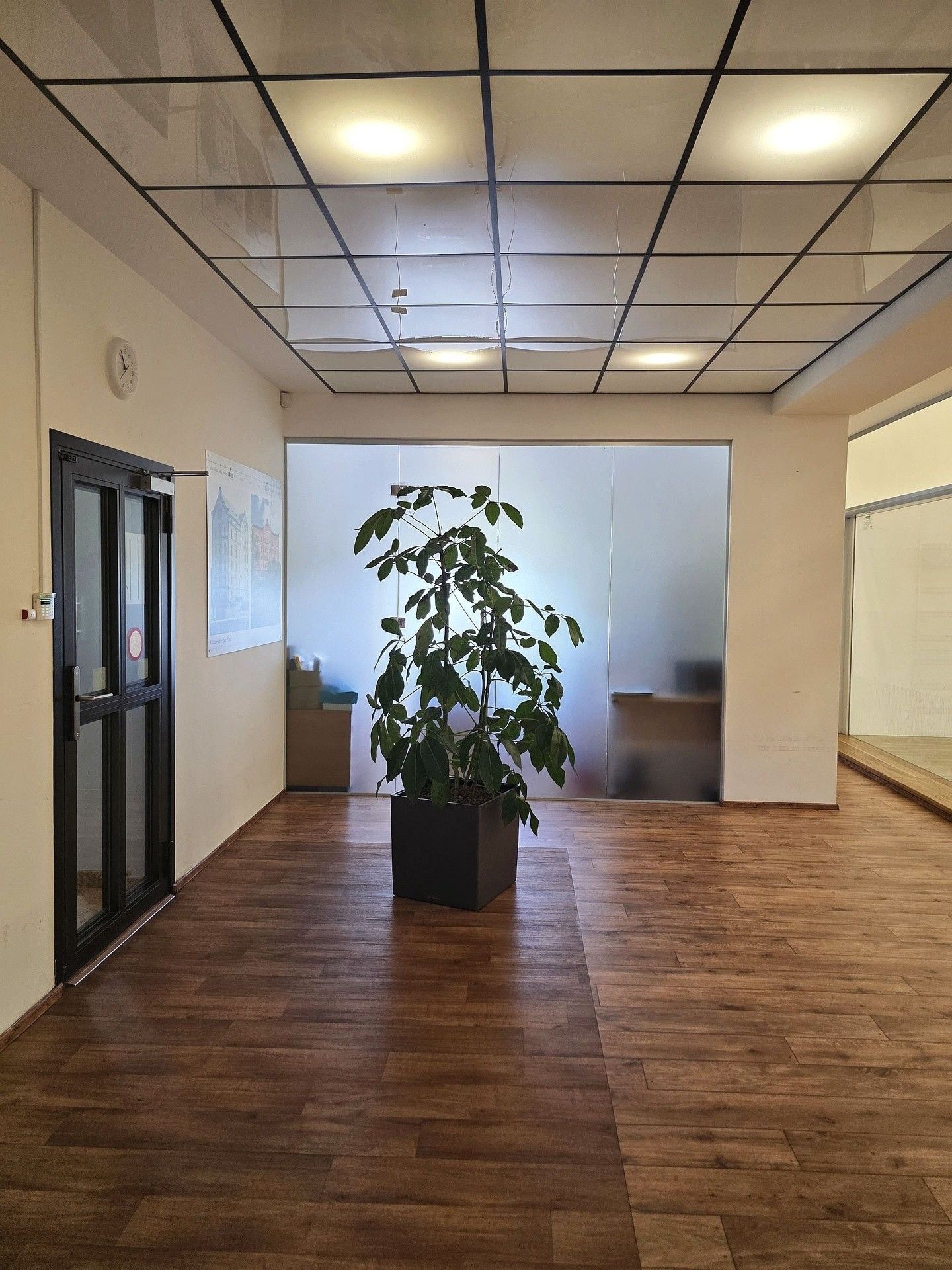 Pronájem komerčního prostoru 275 m² - foto 10