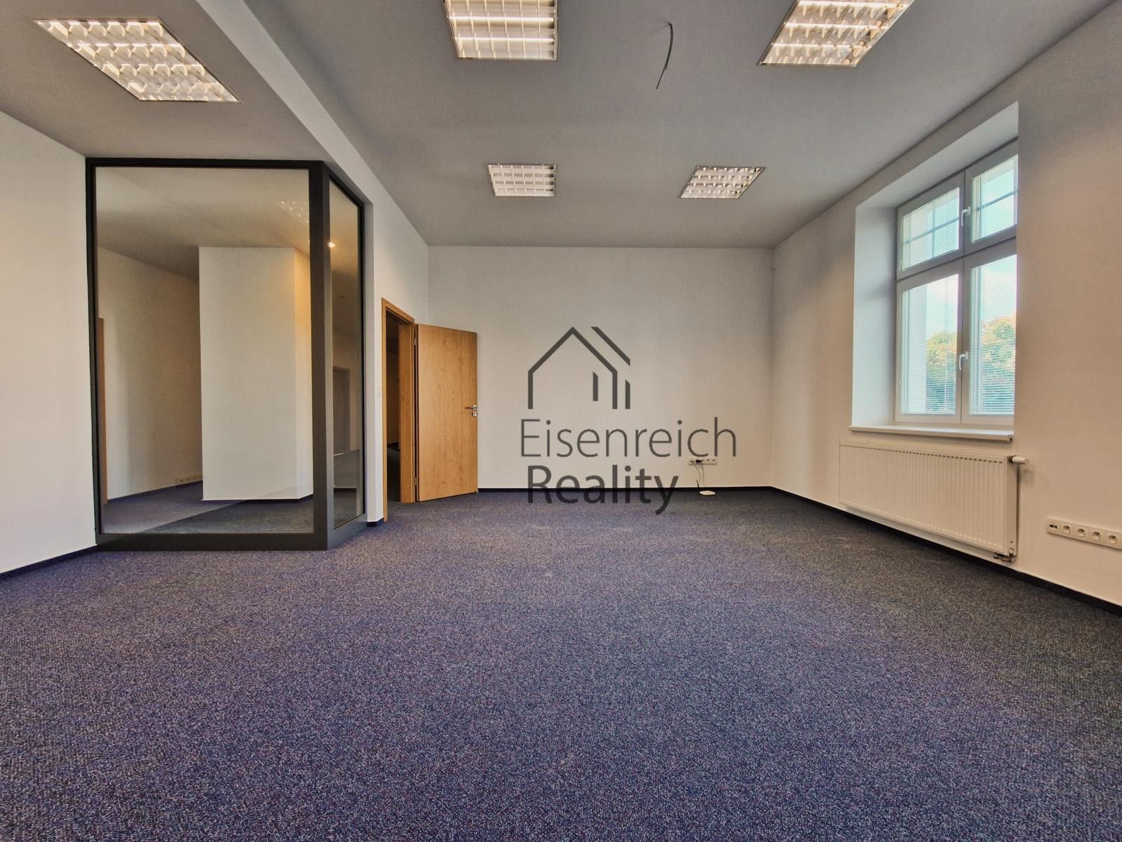Pronájem komerčního prostoru 250 m² - foto 2