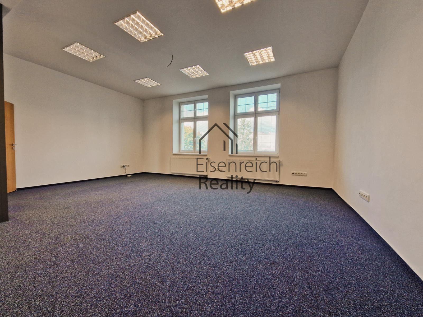 Pronájem komerčního prostoru 250 m² - foto 4