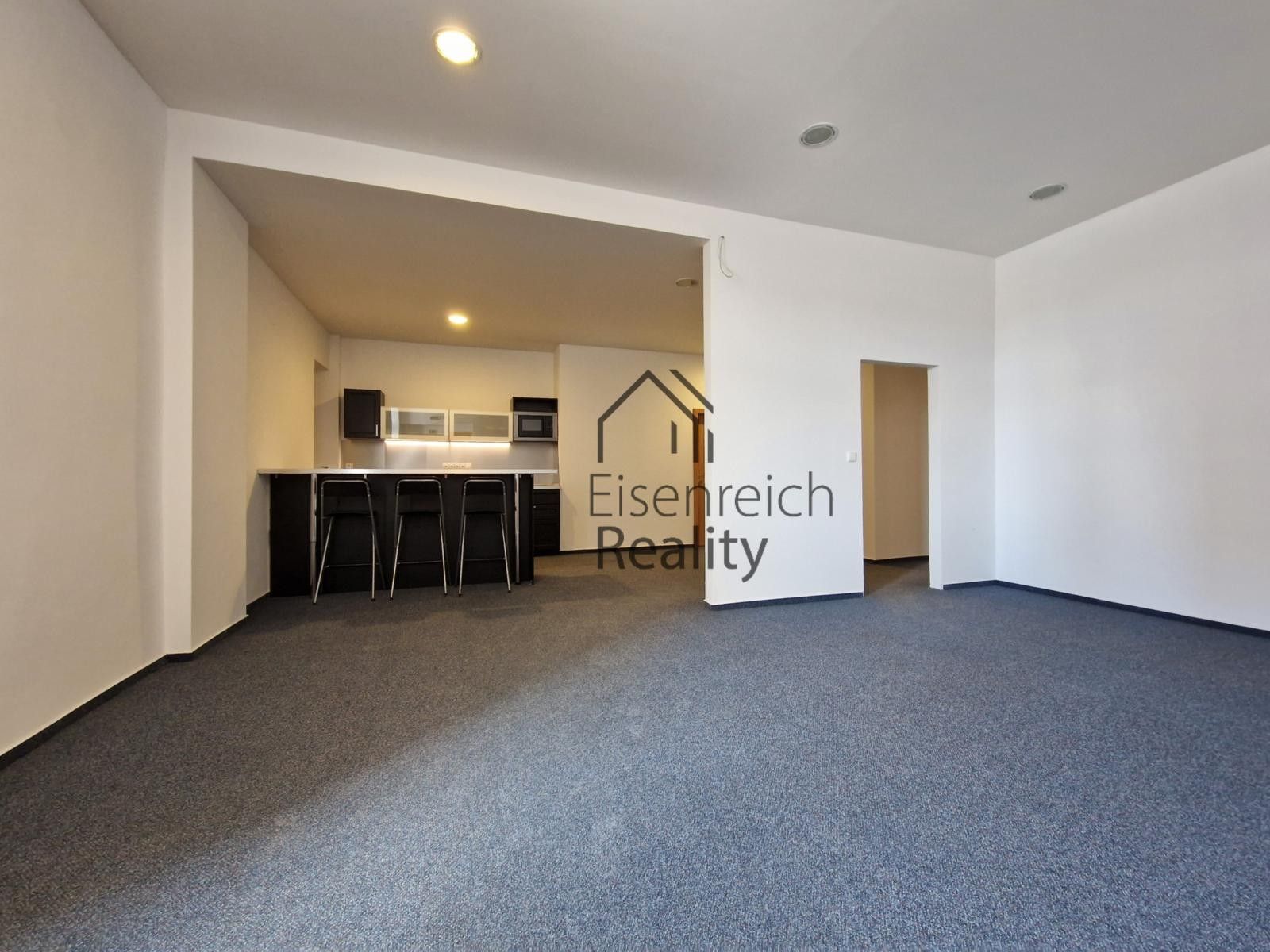 Pronájem komerčního prostoru 250 m² - foto 8