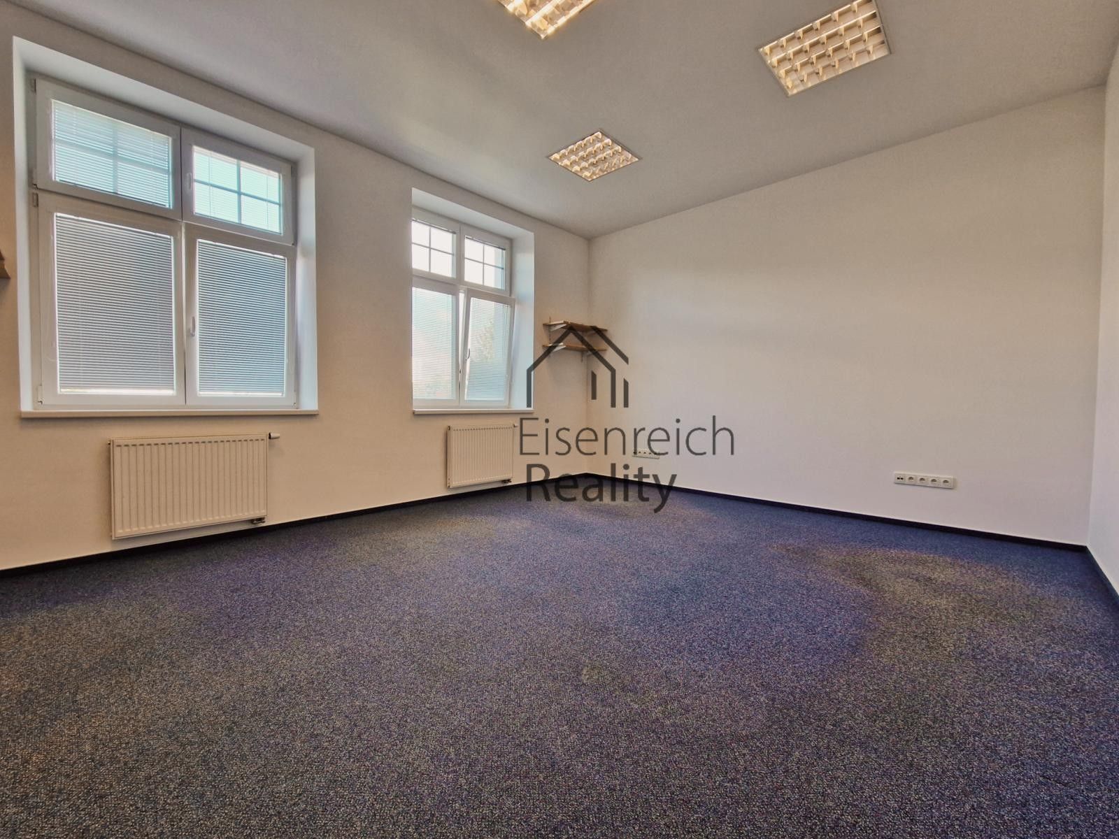 Pronájem komerčního prostoru 250 m² - foto 5