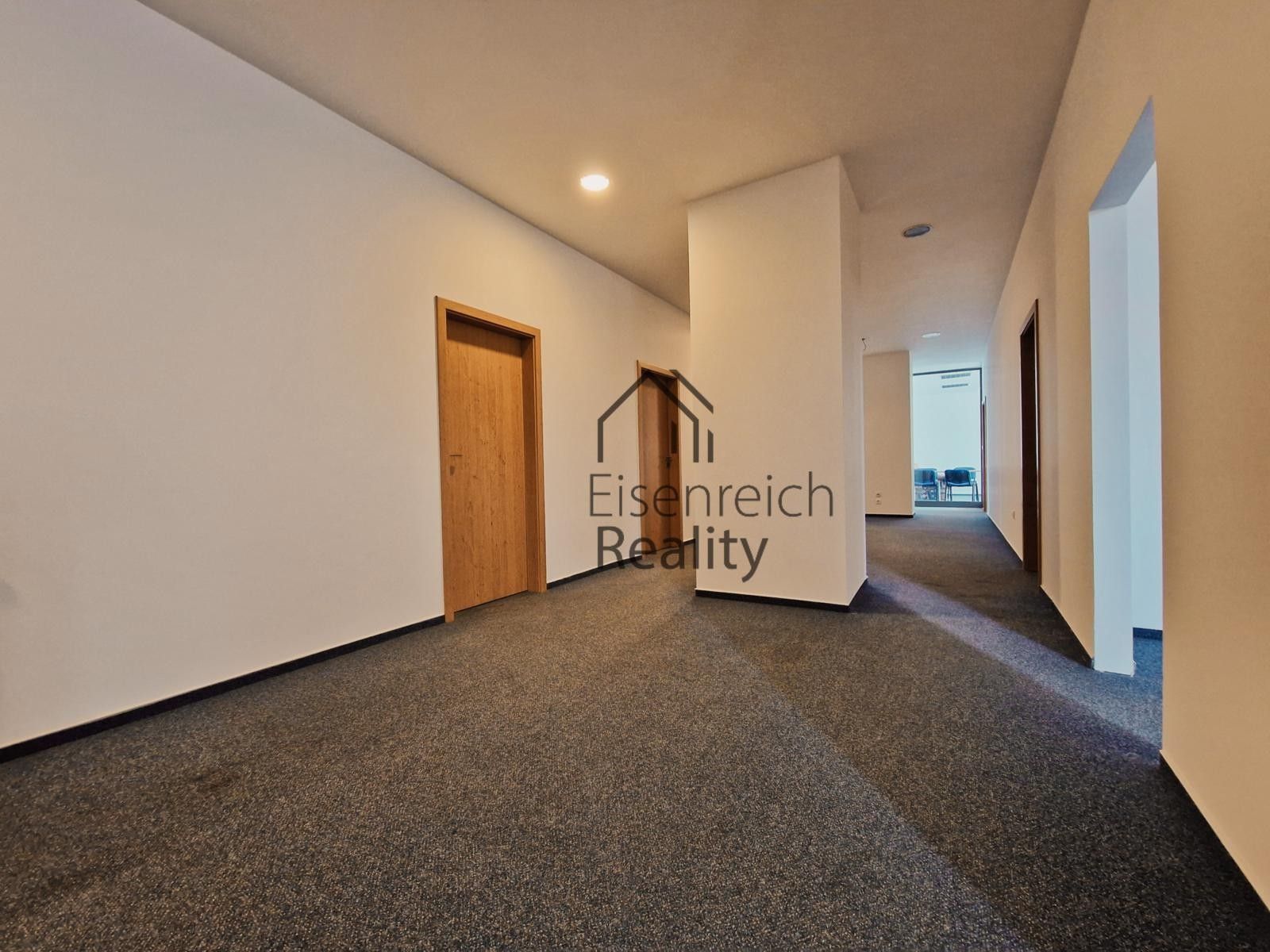 Pronájem komerčního prostoru 250 m² - foto 9