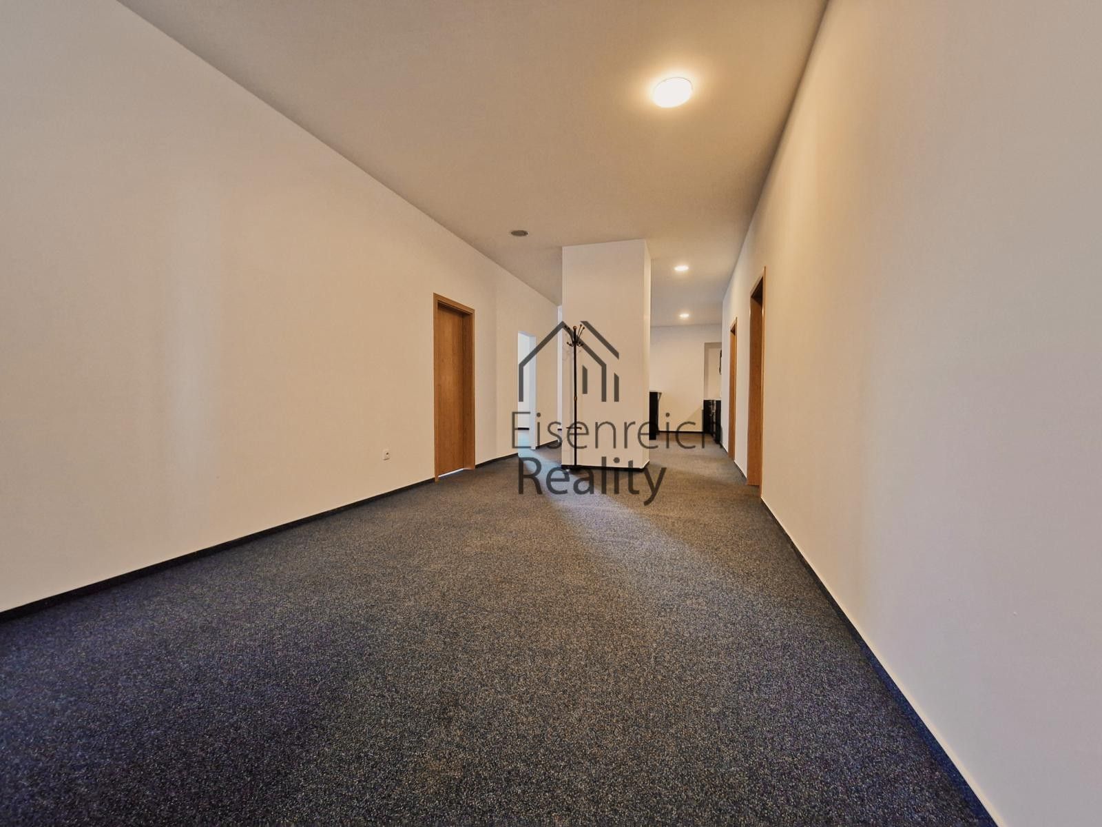 Pronájem komerčního prostoru 250 m² - foto 10