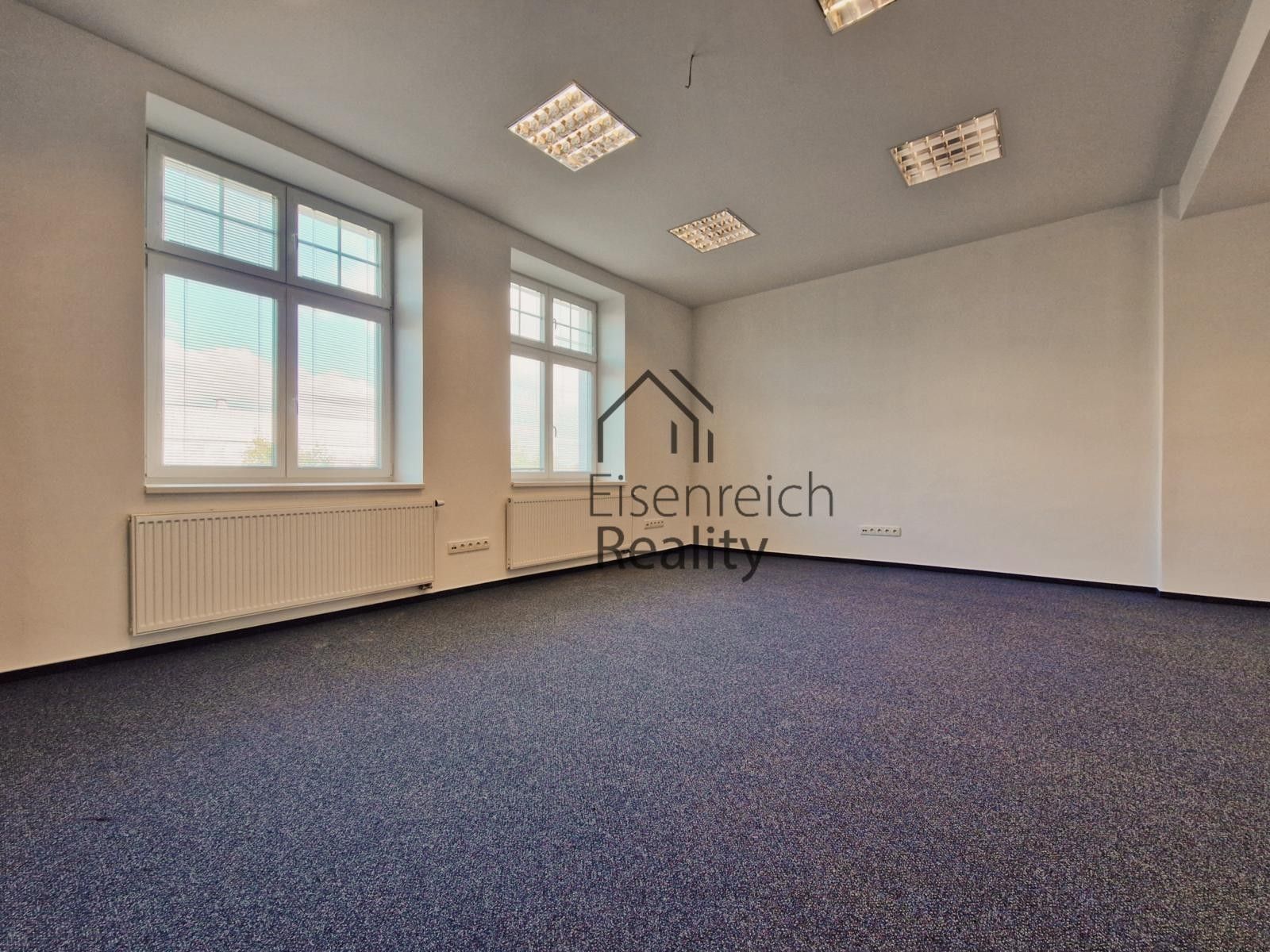 Pronájem komerčního prostoru 250 m² - foto 11