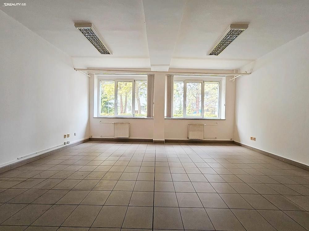 Pronájem komerčního prostoru 1463 m² - foto 8