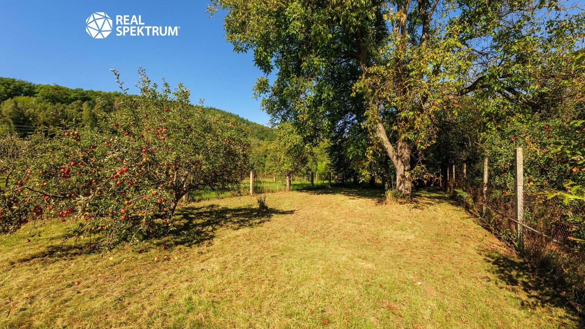 Prodej domu 210 m² - foto 10