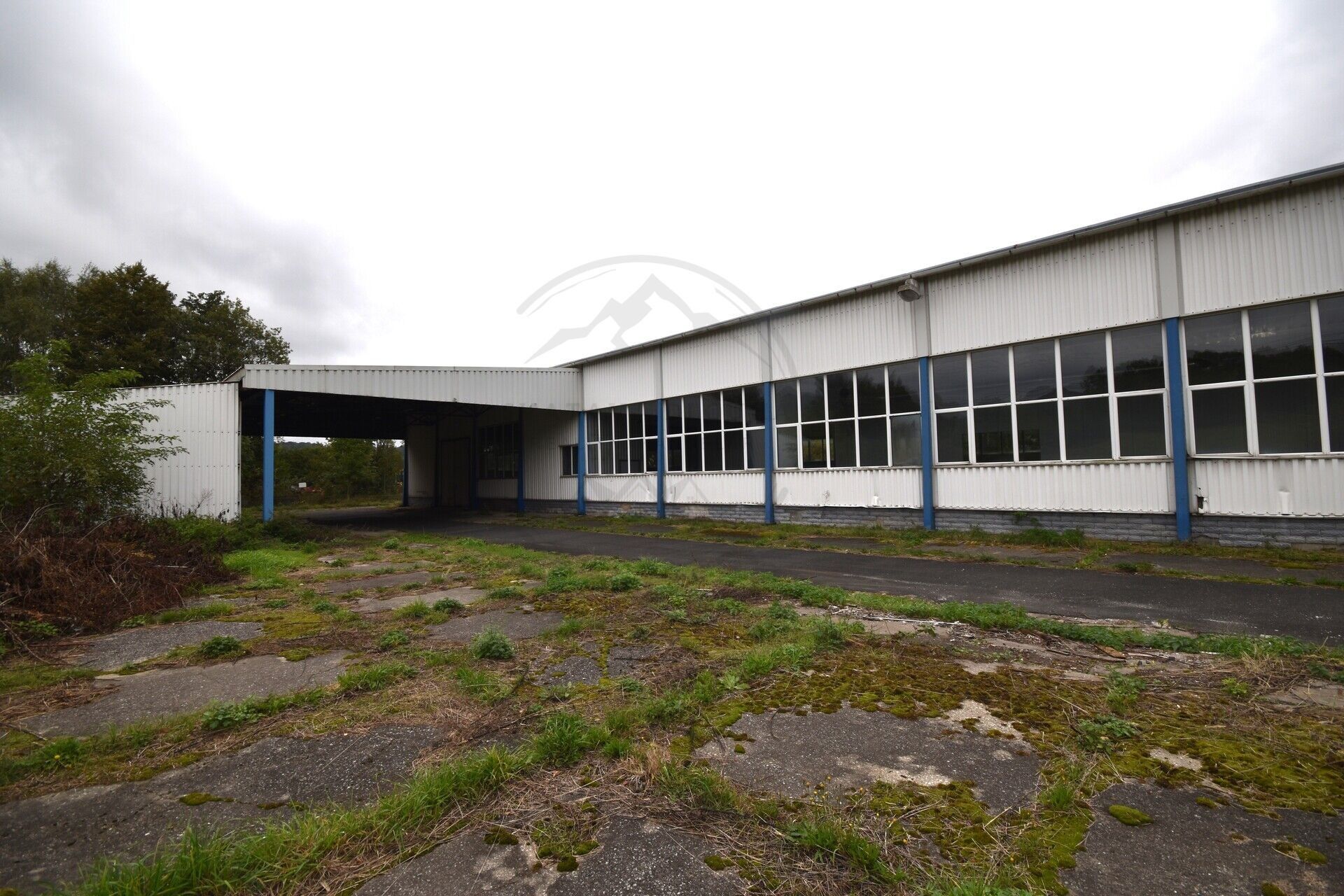 Pronájem komerčního prostoru 4811 m² - foto 3