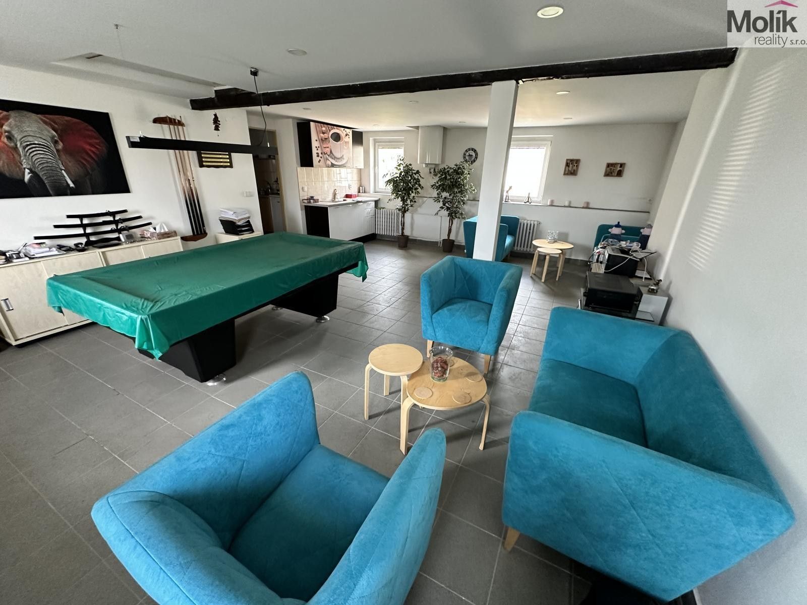 Prodej komerčního prostoru 365 m² - foto 13