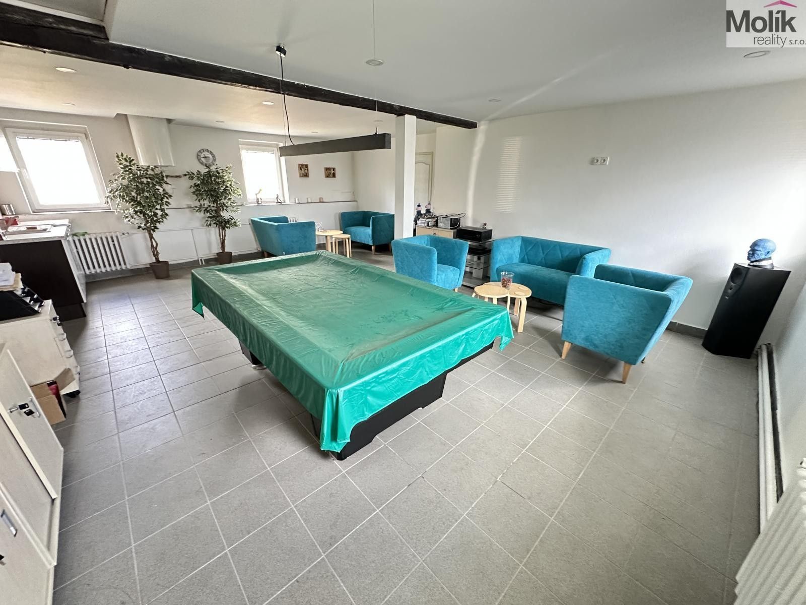 Prodej komerčního prostoru 365 m² - foto 12