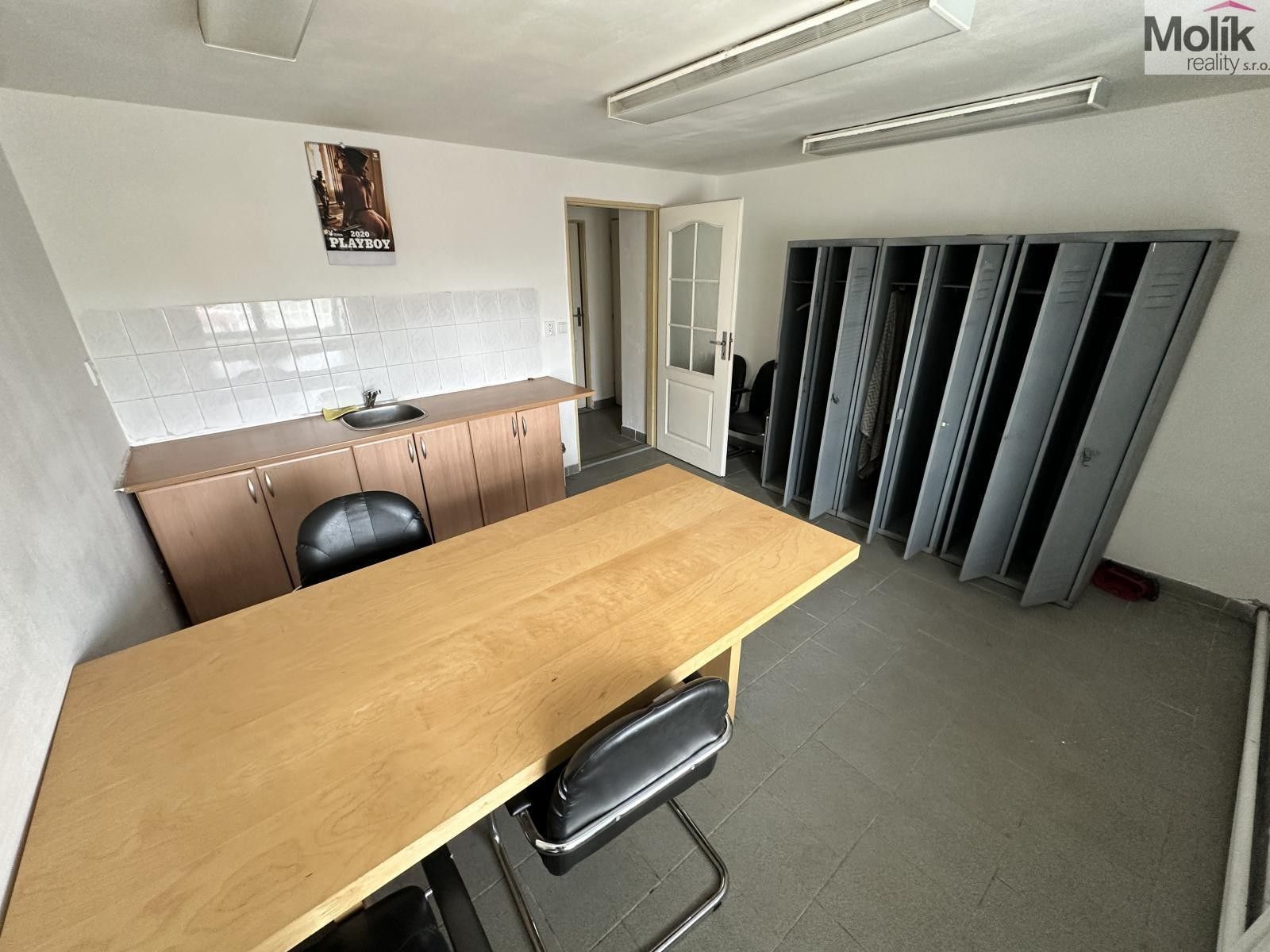 Prodej komerčního prostoru 365 m² - foto 14