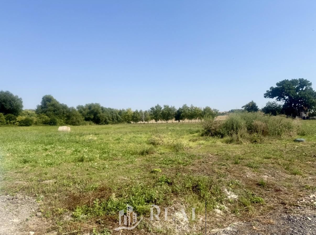 Prodej pozemku 995 m² - foto 4