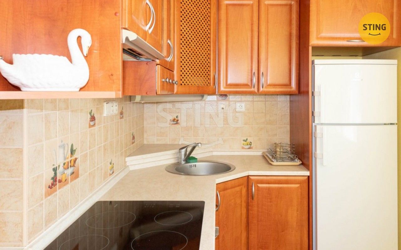 Pronájem bytu 1+1 36 m² - foto 5