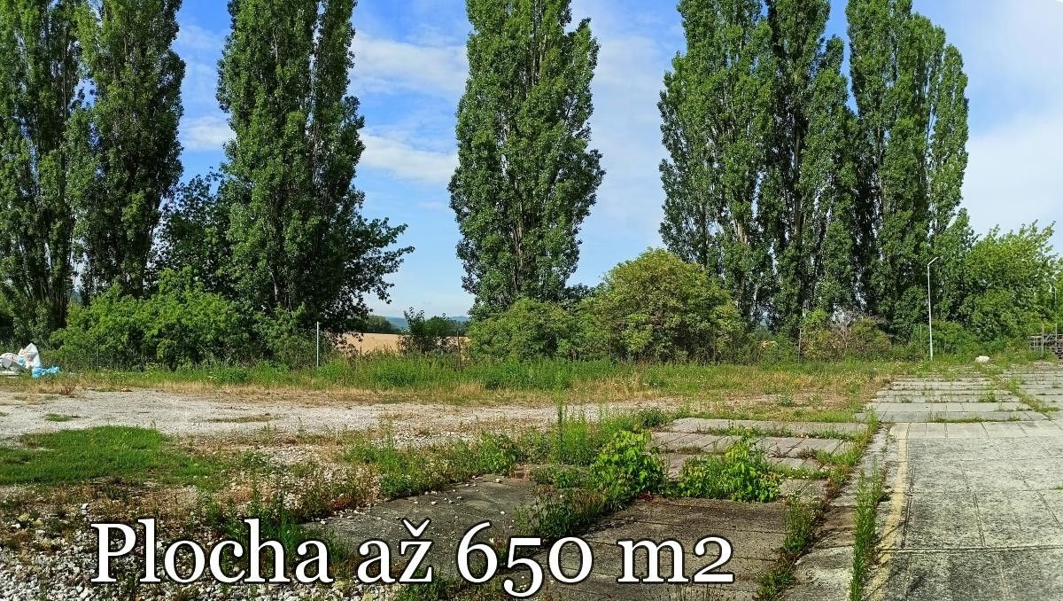 Pronájem pozemku 250 m² - foto 4
