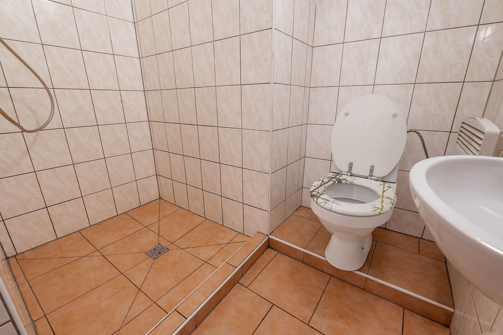 Prodej nemovitosti 250 m² - foto 8