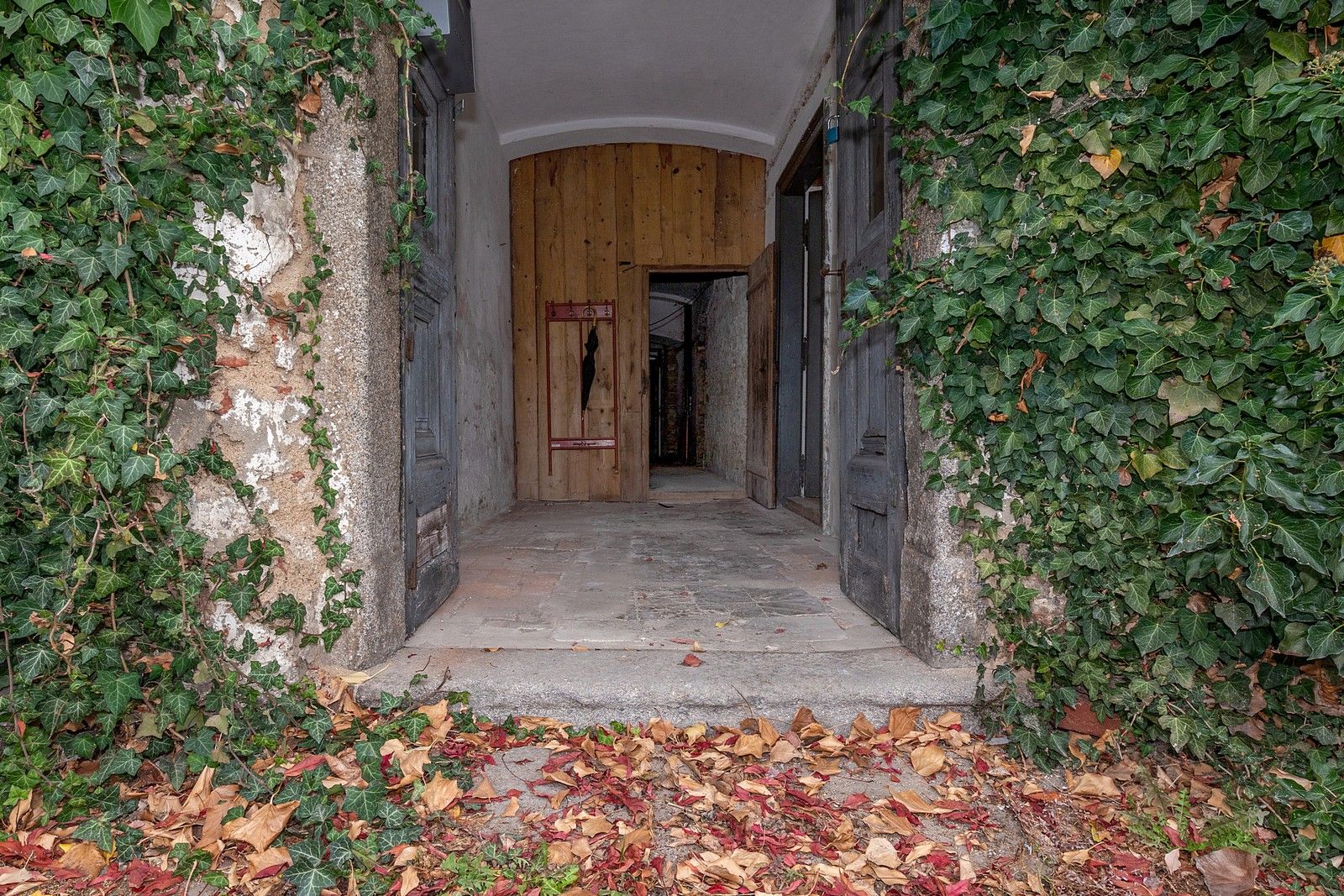 Prodej nemovitosti 250 m² - foto 5