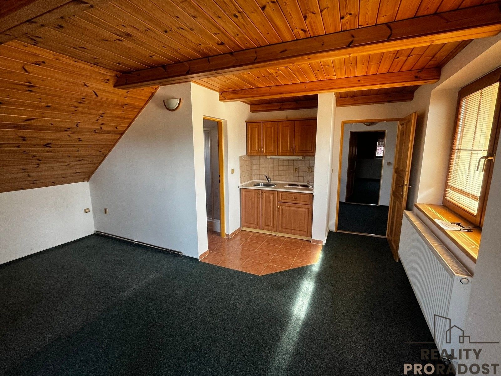 Prodej nemovitosti 350 m² - foto 2